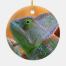 Suche nach chameleon ornamente Lustig