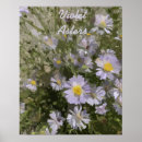 Suche nach frühlings blumen poster Für sie/ihn