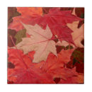 Suche nach ahorn fliesen Natur