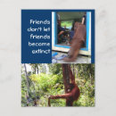Suche nach orang utans postkarten Indonesisch