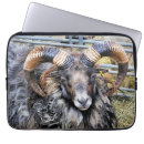 Suche nach schuhe laptop schutzhüllen Schafe