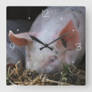 Suche nach lustige schweine wanduhren Humorvoll