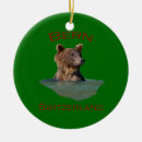 Suche nach schweizer weihnachten ornamente Niedlich