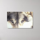 Suche nach lupus poster Kamera