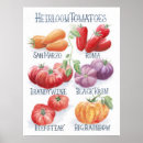 Suche nach tomate poster Lebensmittel