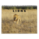 Suche nach lion kalender Wildtiere