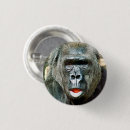 Suche nach lustiger gorilla buttons Primate