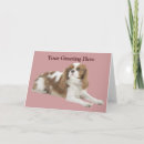 Suche nach cavalier king charles spaniel karten Welpe