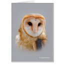 Suche nach bird of prey postkarten Wildlife