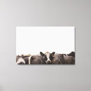 Suche nach bewölkter himmel poster Tier