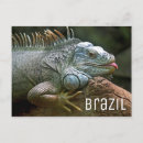 Suche nach lizard poster Leguana