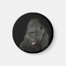 Suche nach gorillas magnete Primate