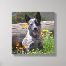 Suche nach fell leinwandbilder Freundschaft