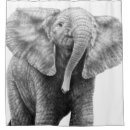 Suche nach elefant zeichnen wohnen zuhause Skizze