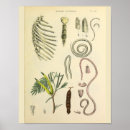 Suche nach sternum poster Medizinisch