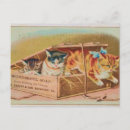 Suche nach kätzchen postkarten Vintag