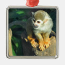 Suche nach monkey ornamente Tier