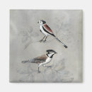 Suche nach stange magnete Vögel