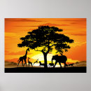 Suche nach afrikanische sonne poster Savanne