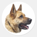 Suche nach polizeihunde aufkleber Welpe