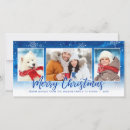 Suche nach weihnachtsfotokarten fotokarten Weihnachtsfotos