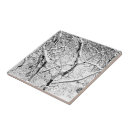 Suche nach schnee fliesen Natur