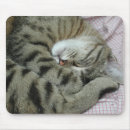 Suche nach haltung mousepads Lustig