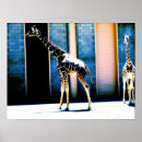 Suche nach zoo animal poster Giraffe
