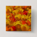 Suche nach tulpen buttons Amsterdam