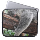 Suche nach koala laptop schutzhüllen Wild
