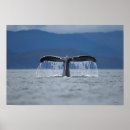 Suche nach floss poster Natur