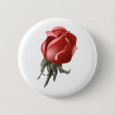 Suche nach rote rosen buttons Bride