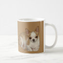 Suche nach mexikanische chihuahua tassen Hunde