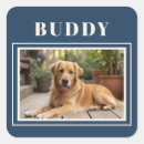 Suche nach blauer hund aufkleber Für haustiere