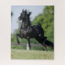 Suche nach black horse puzzle Bob sprache