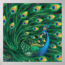 Suche nach blauer vogel poster Elegant