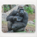 Suche nach gorilla mousepads Zoo