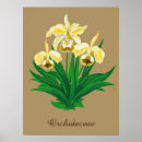 Suche nach wilde orchidee poster Wildblumen