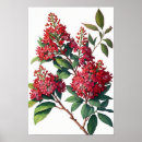 Suche nach crepe poster Blume