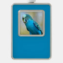 Suche nach parkett ornamente Budgerigar
