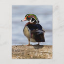 Suche nach baumstamm poster Elegant