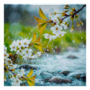 Suche nach frühlingsregen Natur