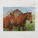 Suche nach pullman poster Malerisch