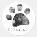 Suche nach tatzen aufkleber Pawprint