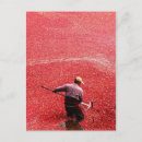 Suche nach cranberry postkarten Preiselbeere