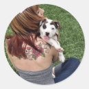 Suche nach pit aufkleber Bulldogge