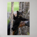 Suche nach cube poster Baby