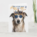 Suche nach borzoi postkarten Haustiere