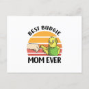 Suche nach budgie poster Birds