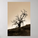 Suche nach herbstbaum poster Eiche